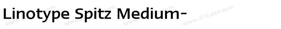 Linotype Spitz Medium字体转换